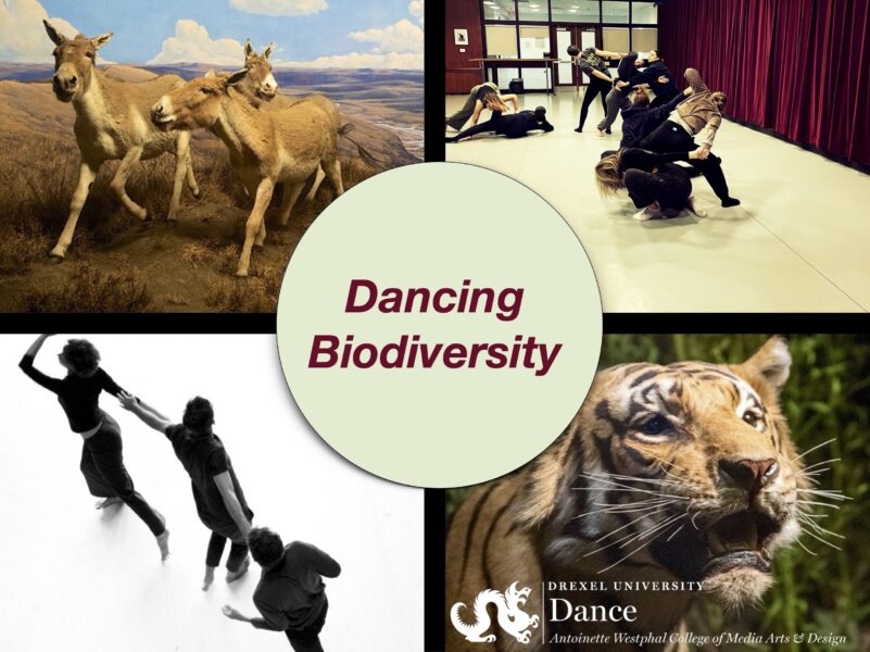 Dancing Biodiversity