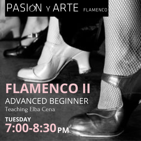 Pasion y Arte Conservatory – Flamenco Advanced Beginner Class
