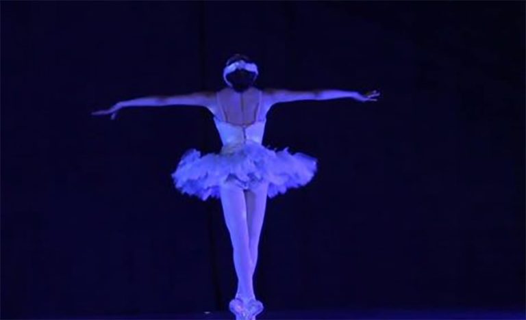 dying swan